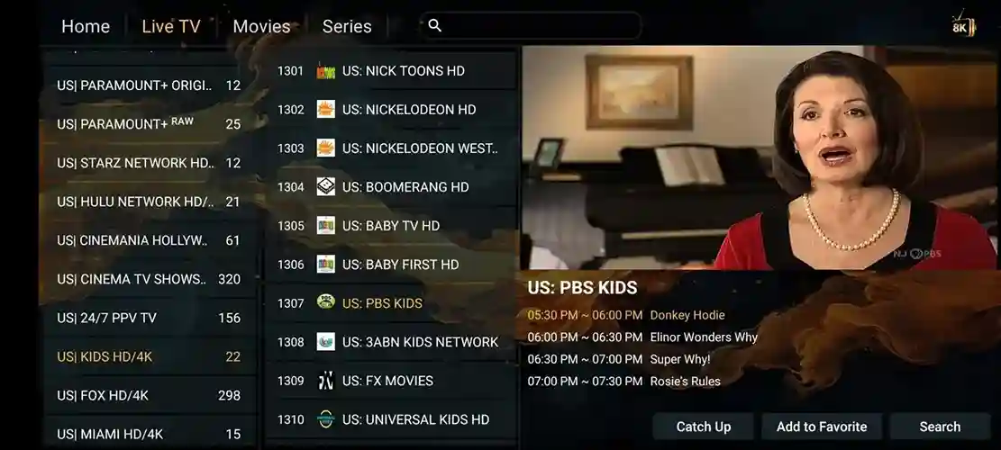 Preview 4 - StreamQ TV IPTV Premium IPTV Subscription